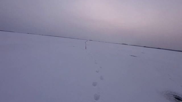Первый ЛЁД Как мы попытались поймать судака . Самая первая рыбалка на судака зимой смотреть онлайн