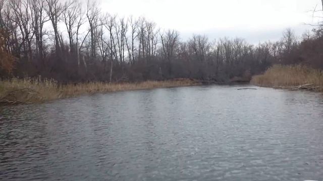 Возвращение домой Воронеж-м и Tohatsu MFS30BEPTS смотреть онлайн