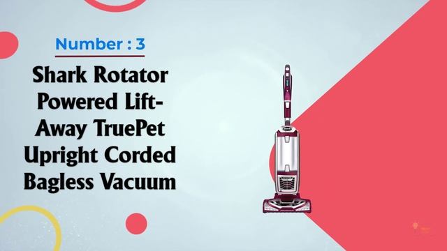 Top 5 Best Shark Vacuums Review in 2023 смотреть онлайн