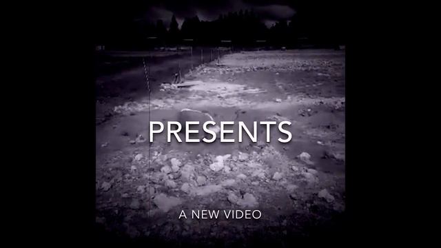 Bongo Brains - Piggy Style (Teaser) смотреть онлайн