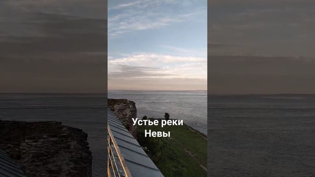 Устье реки Невы Ладожское озеро смотреть онлайн