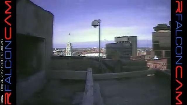 Camera 4 - 12/24/12 смотреть онлайн