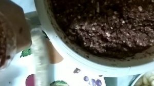 Колбаса домашняя из лёгких печени и сердца.