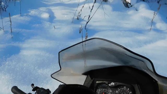 Tundra 550 LT, прогулка по лесу. смотреть онлайн