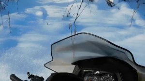 Tundra 550 LT, прогулка по лесу.