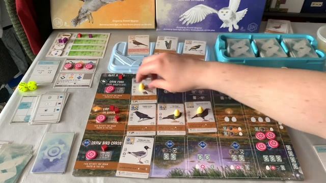 Wingspan - Solo Playthrough with Oceania and European Expansions смотреть онлайн