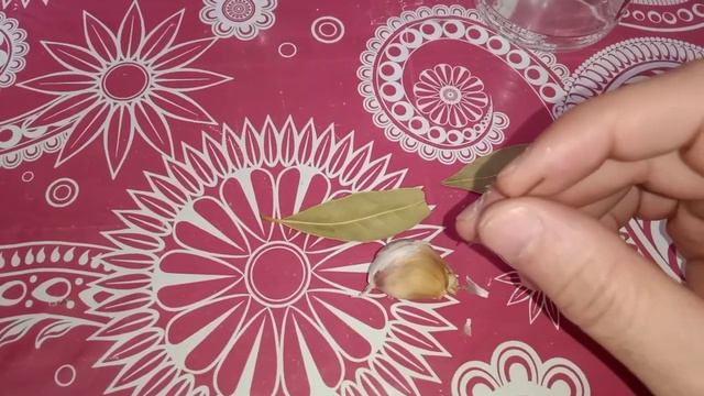 Домашняя магия и бытовая магия от порчи и колдовства смотреть онлайн