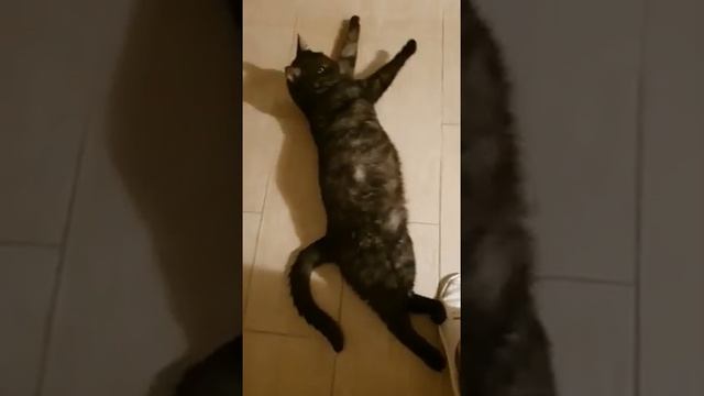 Магеллан дома