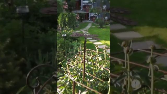 Лучшая опора для пионов смотреть онлайн