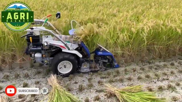 Driverless REAPER BINDER MACHINE Harvesting Paddy / Rice | Automatic Mini Reaper Binder Machine смотреть онлайн