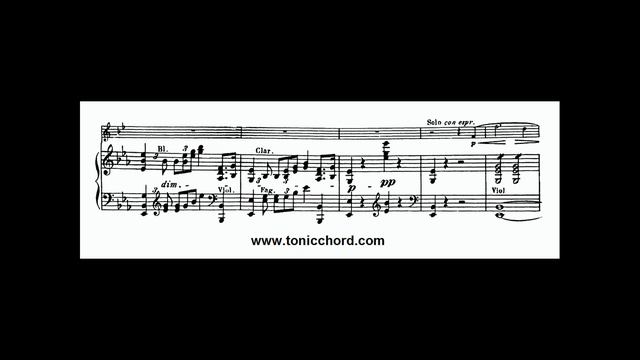 Strauss Horn Concerto No.1 in Eb Major Op 11 Accompaniment смотреть онлайн