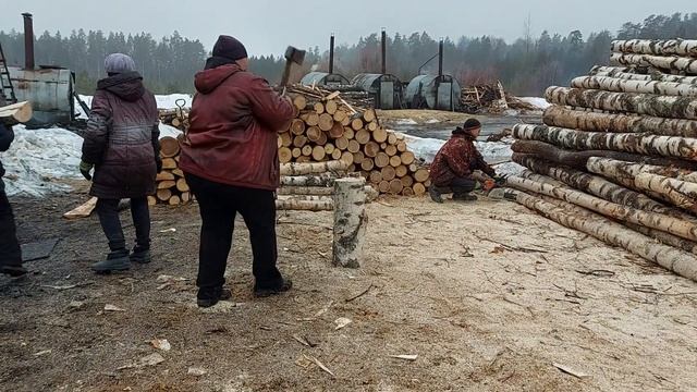 как делаем берёзовый уголь смотреть онлайн