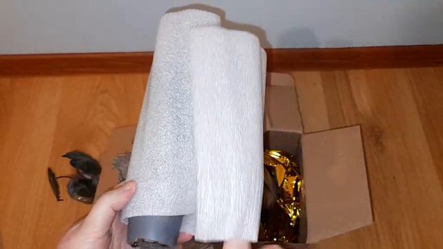 haul zakupowy z roślinami| nowości ficus benghalemsis| goeppertia musaica| Alocasia i Calathea смотреть онлайн