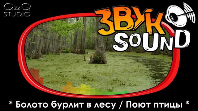 Болото бурлит в лесу ЗВУК, Птицы поют / Swamp rages in the forest SOUND, Birds sing смотреть онлайн