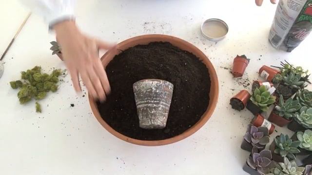 🌵 ~ Cool Succulent Arrangement ~ Fun Project ~ 🌵 смотреть онлайн