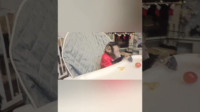 С новым годов, друзья (отмечаем новый год 2024) смотреть онлайн