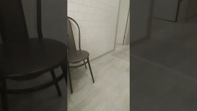 Приучаем щенка команде ко мне по свистку смотреть онлайн