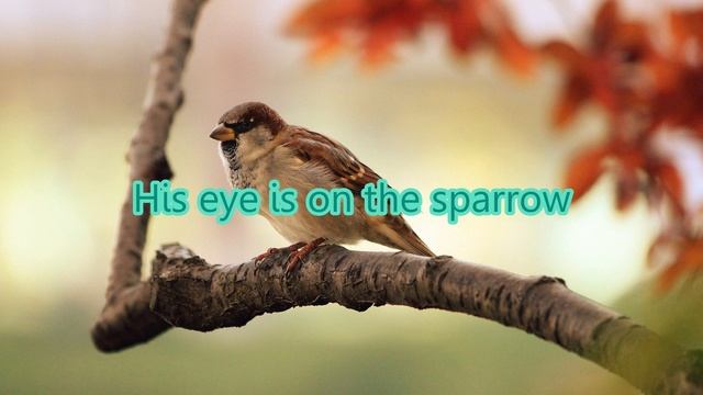 His Eye is on the Sparrow Piano Accompaniment (Lyrics) смотреть онлайн