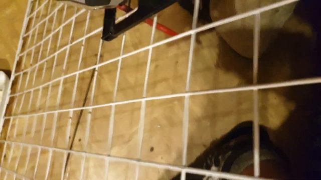 Как сделать самому большую клетку для крыс из сварной сетки (эконом вариант))!_0001 смотреть онлайн