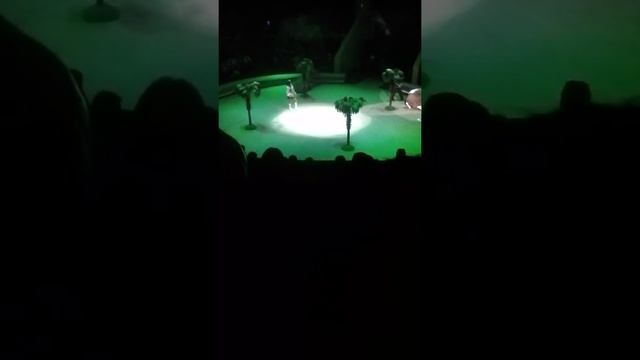 Бегемоты в цирке смотреть онлайн