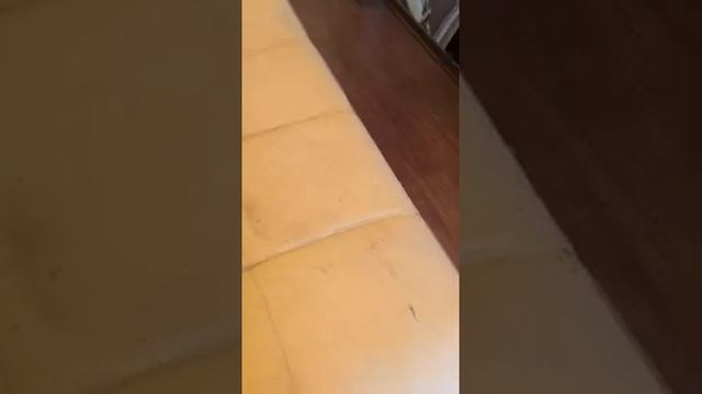 WhatsApp Video 2021 11 28 at 19 48 01 смотреть онлайн