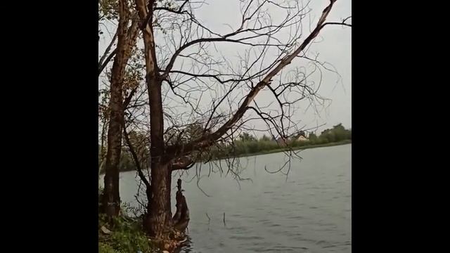 рыбалка в не погоду на озере карась смотреть онлайн