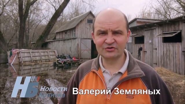 В Брянске затопило базу Конно-спортивного клуба "Казачок" смотреть онлайн