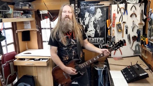 SIVA The Virtual Analogue Multi-Effects Platform смотреть онлайн