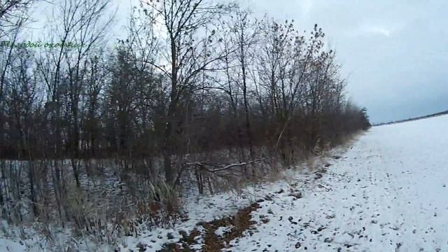 охота на зайца, выгоняю зайца с лежки! смотреть онлайн