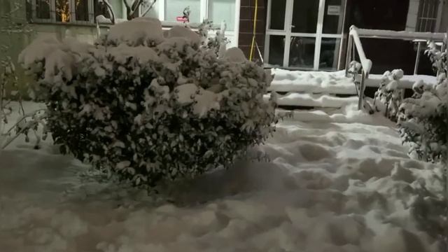 Зимняя сказка, модный снеговик... смотреть онлайн