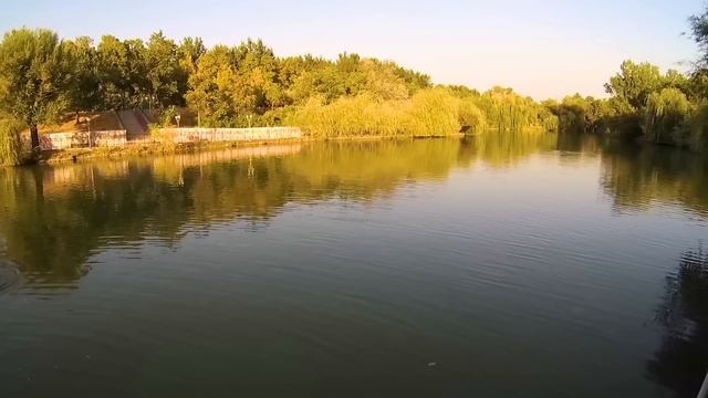 ШЫМКЕНТ - КАЗАХСТАН | ХОСТЕЛ SLEEP & GO | ДЕНДРОПАРК | ПРОГУЛКА ПО ЧИМКЕНТУ | SHYMKENT KAZAKHSTAN #