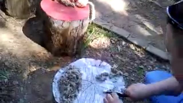 Резка каната смотреть онлайн