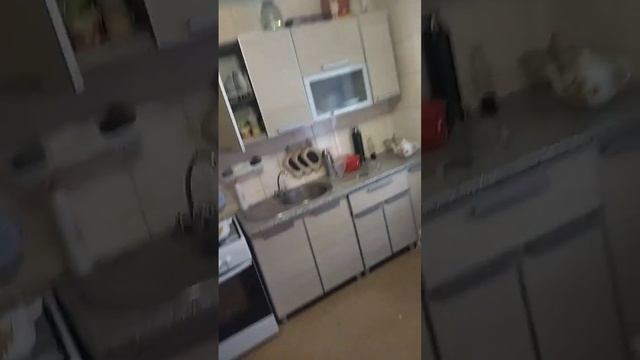 подводные наушники для металлоискателей 89155508336 смотреть онлайн