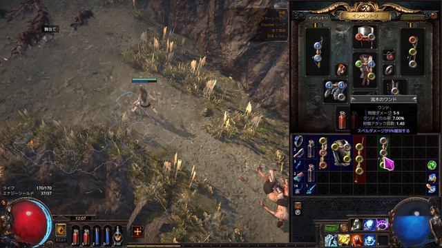 【超初心者向け】見るだけでできるPath of Exile 第1章【PoE3.22】無課金状態で実演！ смотреть онлайн