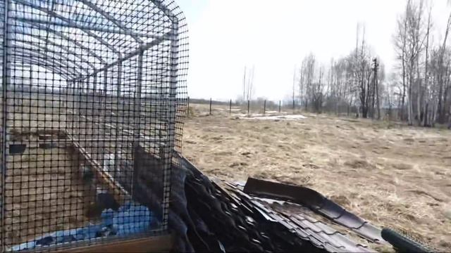 Ветренный апрельский стрим. смотреть онлайн
