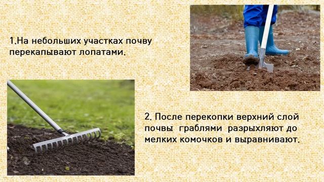 Биология. Тема урока "Весенняя обработка почвы" смотреть онлайн