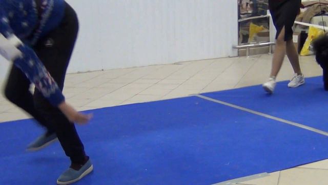 84   Моно пуделей 28.01.2024г. 