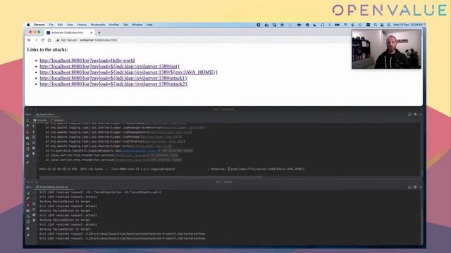 Understanding Log4Shell: vulnerability, attacks and mitigations by Roy van Rijn & Bert Jan Schrijve смотреть онлайн