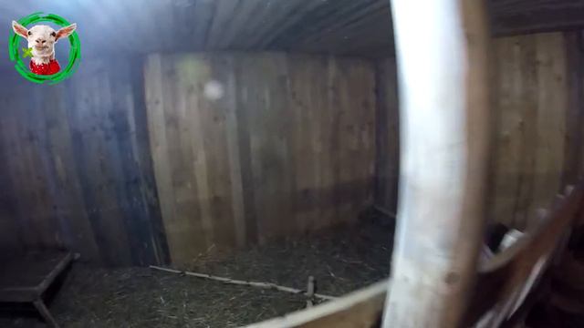 Все произошло в пятницу 15 января смотреть онлайн