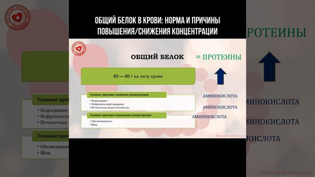 Общий белок в крови: норма и причины снижения/повышения концентрации смотреть онлайн