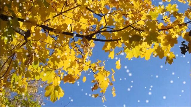 Осеннее настроение. Аудио рассказ. смотреть онлайн