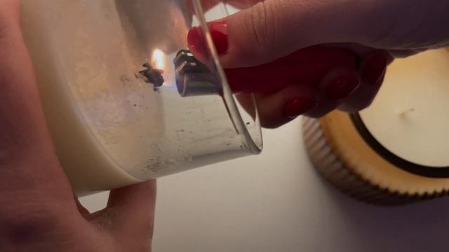 Книжный влог: 4 ДНЯ ЧТЕНИЯ (с котом) ? читаю книгу белорусского писателя ? смотреть онлайн