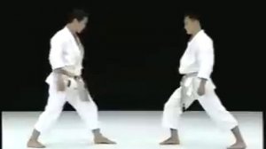 Мае гери кеаге - сенсей Масао Кагава