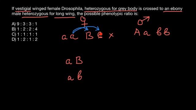 Drosophila genetics problem and solution смотреть онлайн