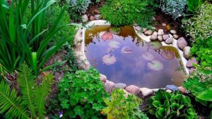 Пруд на даче | Идеи оформления дачного пруда | Какие растения посадить вокруг дачного прудика