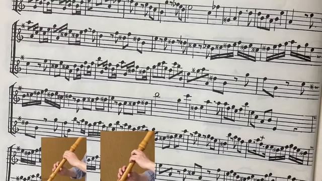 Telemann 6 Sonatas for two treble recorders TWV40:101 Allegro テレマン смотреть онлайн