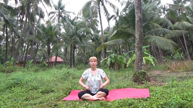 Пранаяма для начинающих. Занятие № 2 смотреть онлайн