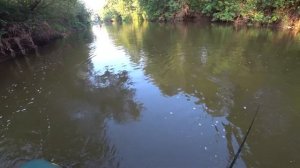 ЩУКА НА SALMO SWEEPER. РЫБАЛКА НА ДЖЕРК. Рыбалка с лодки на джеркбейты.