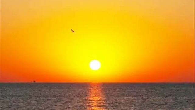 Hallelujah на русском,свой текст смотреть онлайн