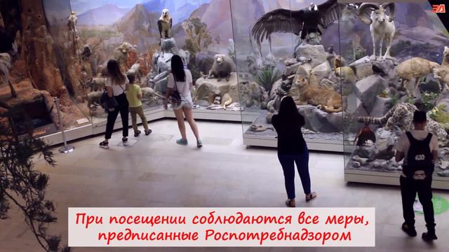 Открытие Дарвиновского музея смотреть онлайн